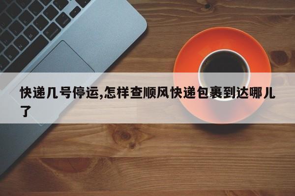 快递几号停运,怎样查顺风快递包裹到达哪儿了